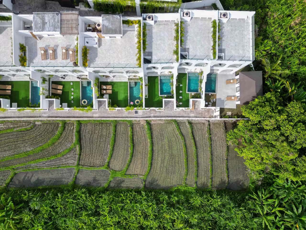A TROPICAL VILLA OVERLOOKING RICE FIELDS IN PERERENAN - photo 1