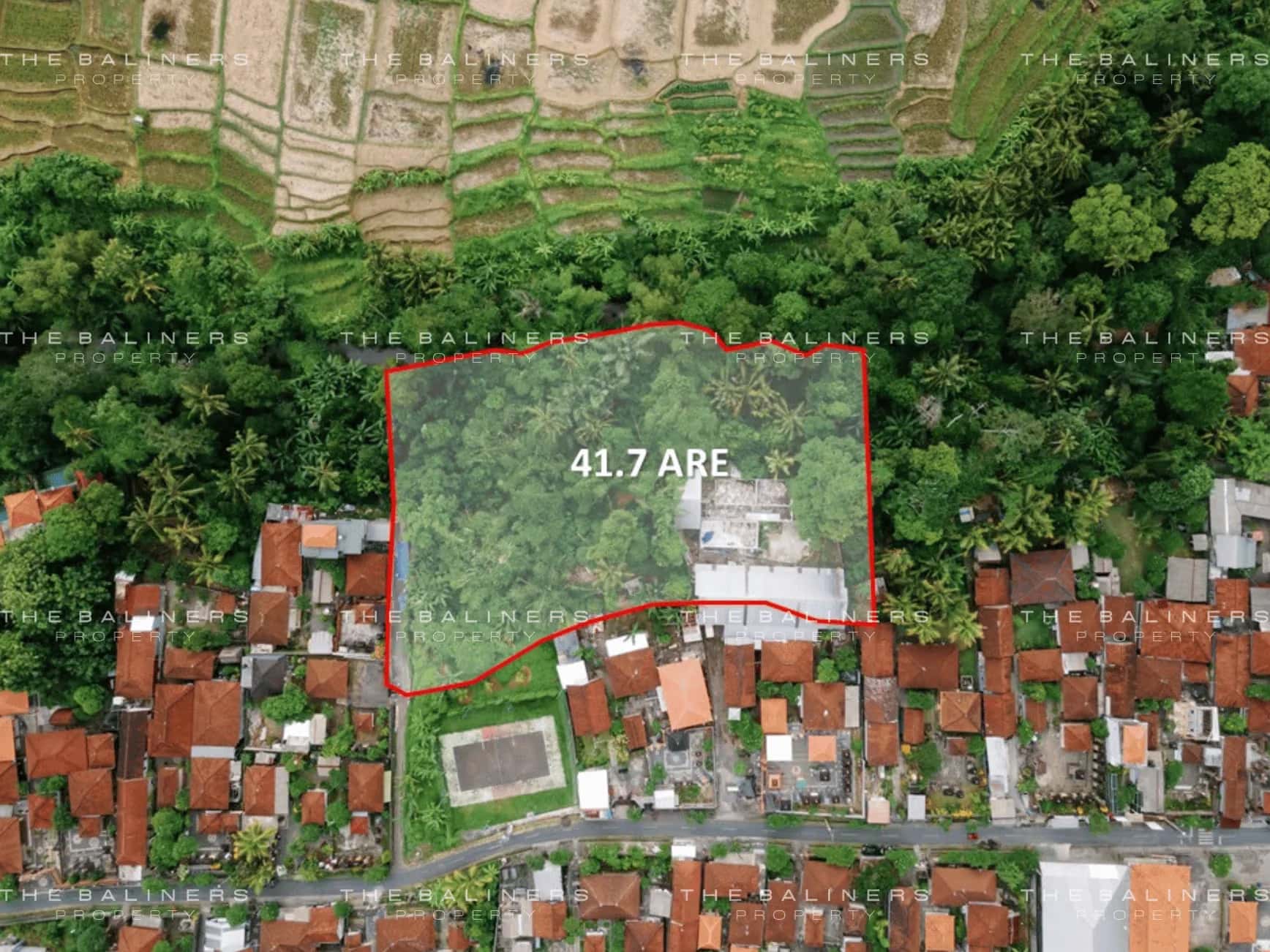 A Rare Riverside Haven In The Heart Of Ubud’S Natural Beauty — photo 1