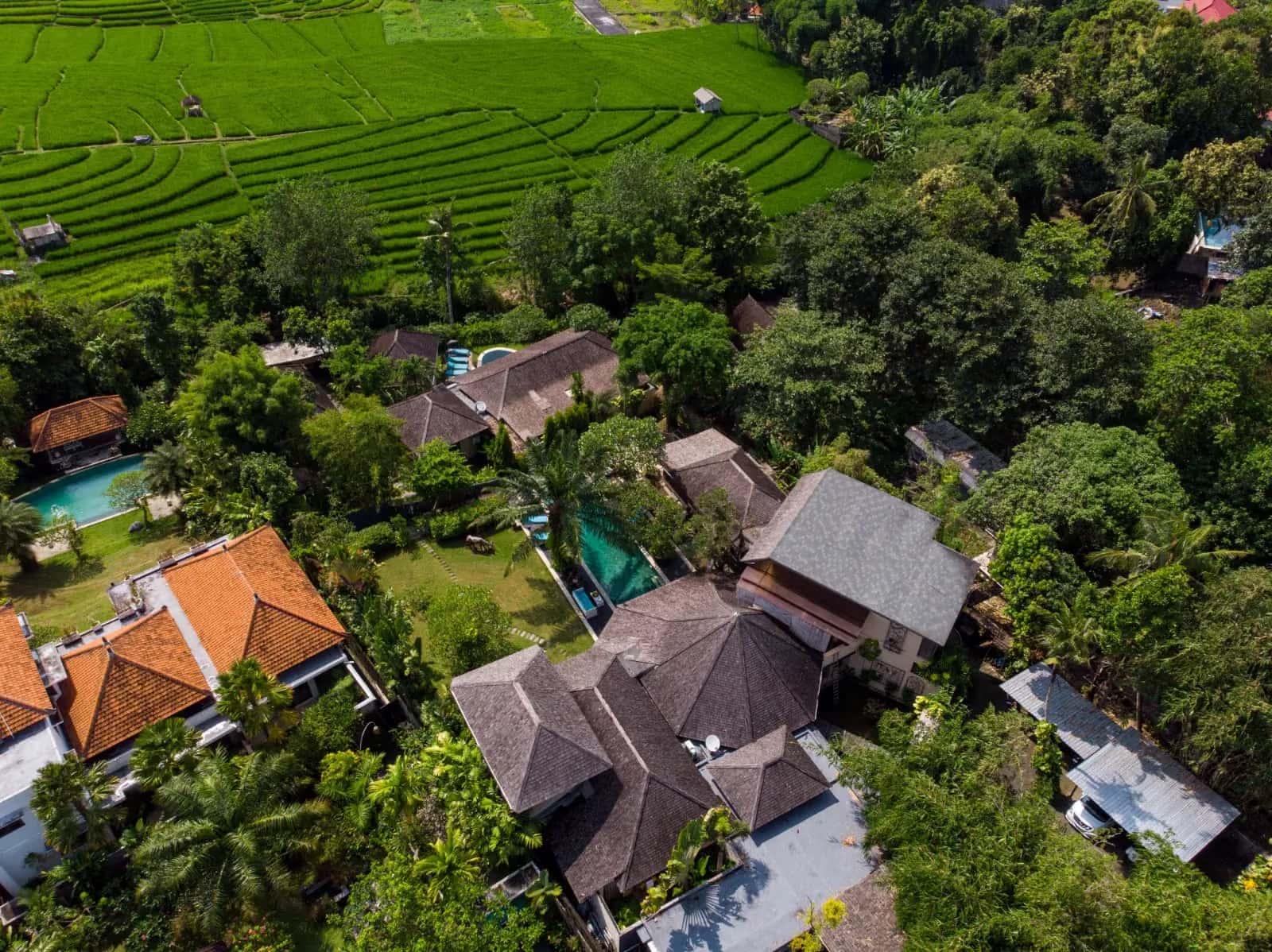 Now Reduced By 10 Billion‼️ A Rare Pererenan Estate With Rice Field Views — photo 1