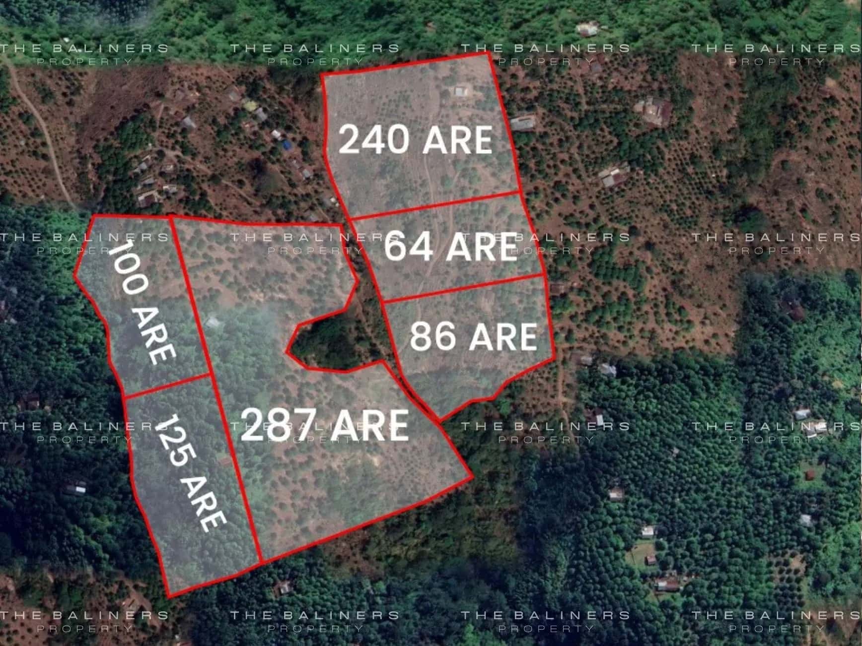 A Large Scale 9 Hectare Leasehold Landholding In Lovina With Long Term Upside — photo 1