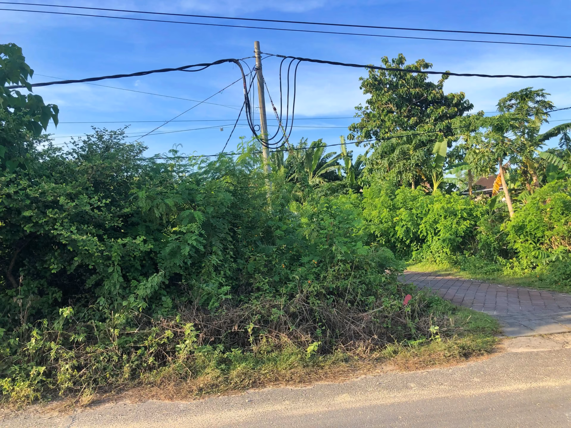 65 Are Of Prime Pandawa Land In The Midst Of Bali’S Luxury Evolution — photo 1