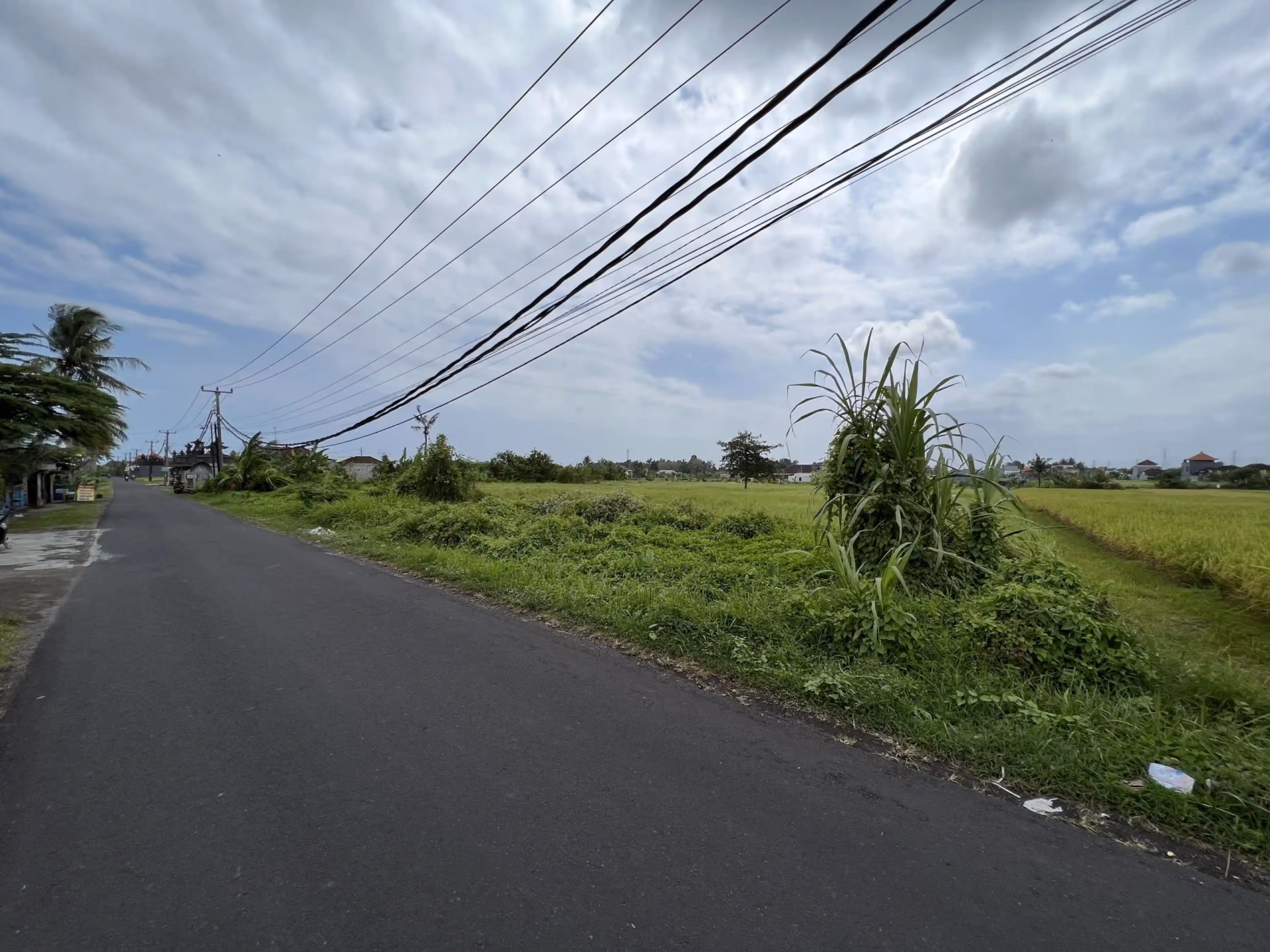 Stunning Development Land In Up And Coming Kedungu — photo 1
