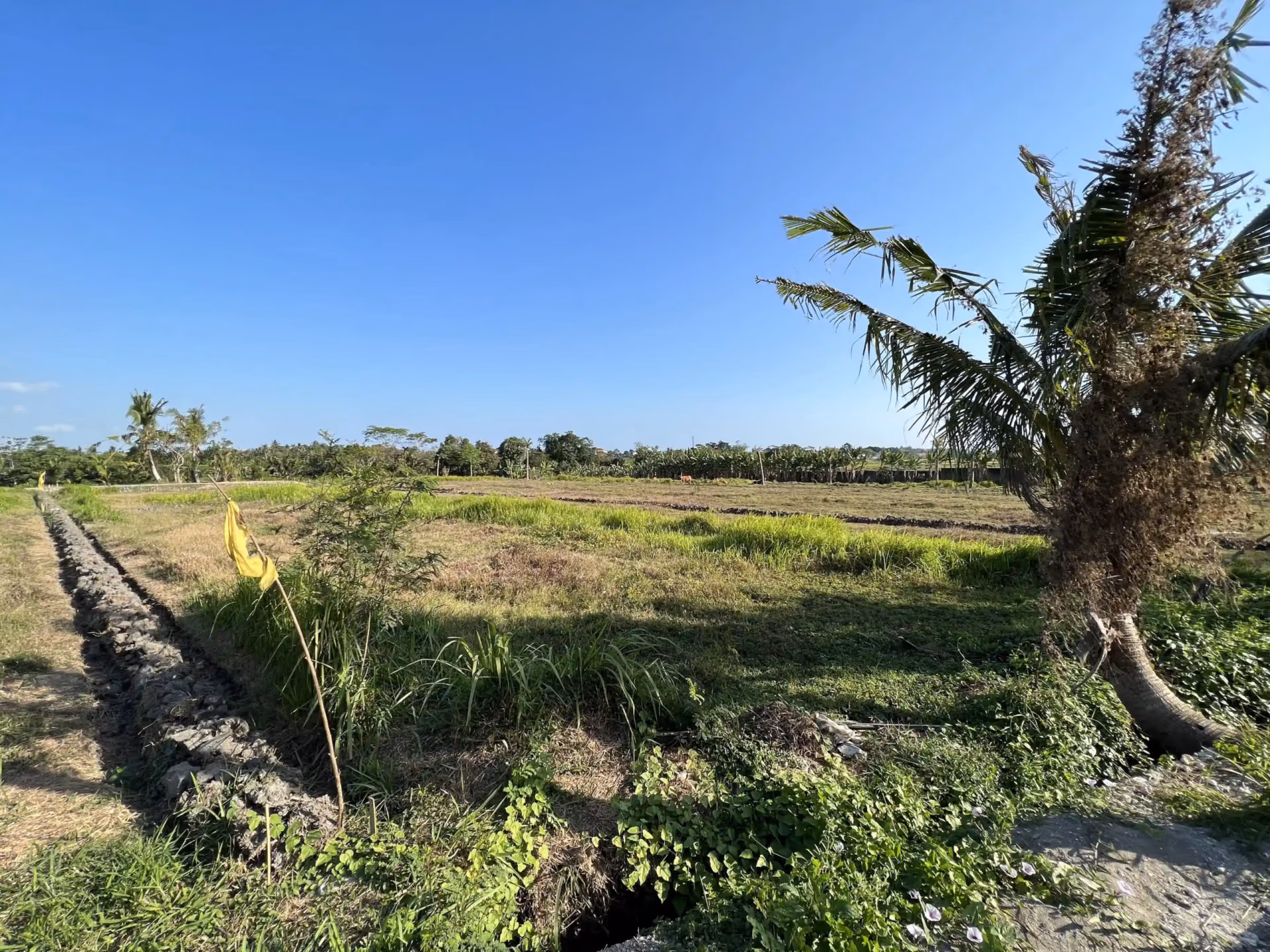 Rare Small Freehold Plot Walking Distance To The Beach — photo 1