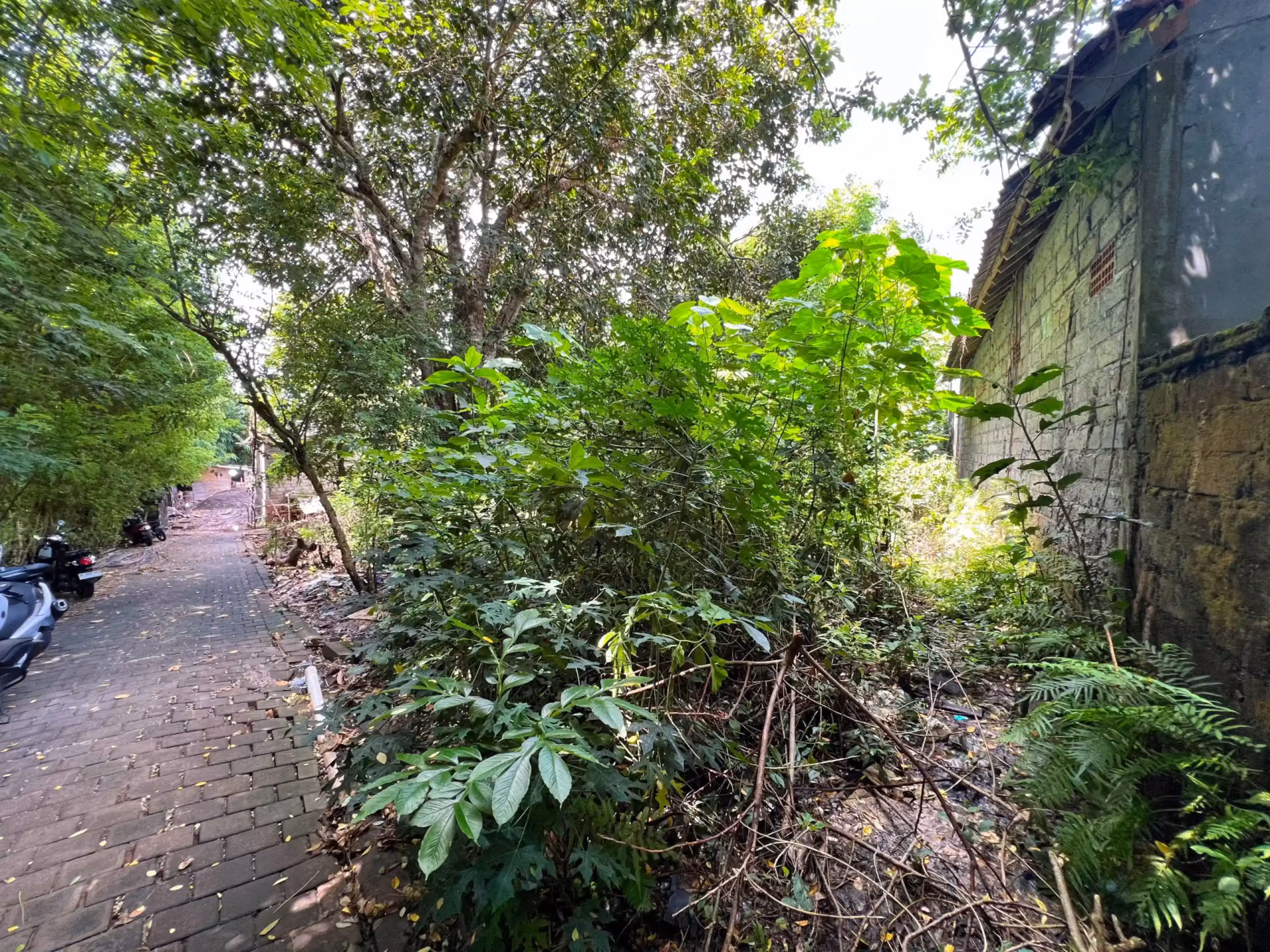 Pecatu Freehold Land: A Strategic Choice For Residential Development — photo 1