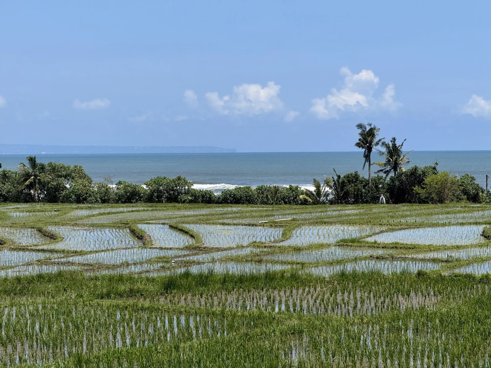 Freehold Land Offering Stunning Ocean And Sunset Views In Tabanan — photo 1