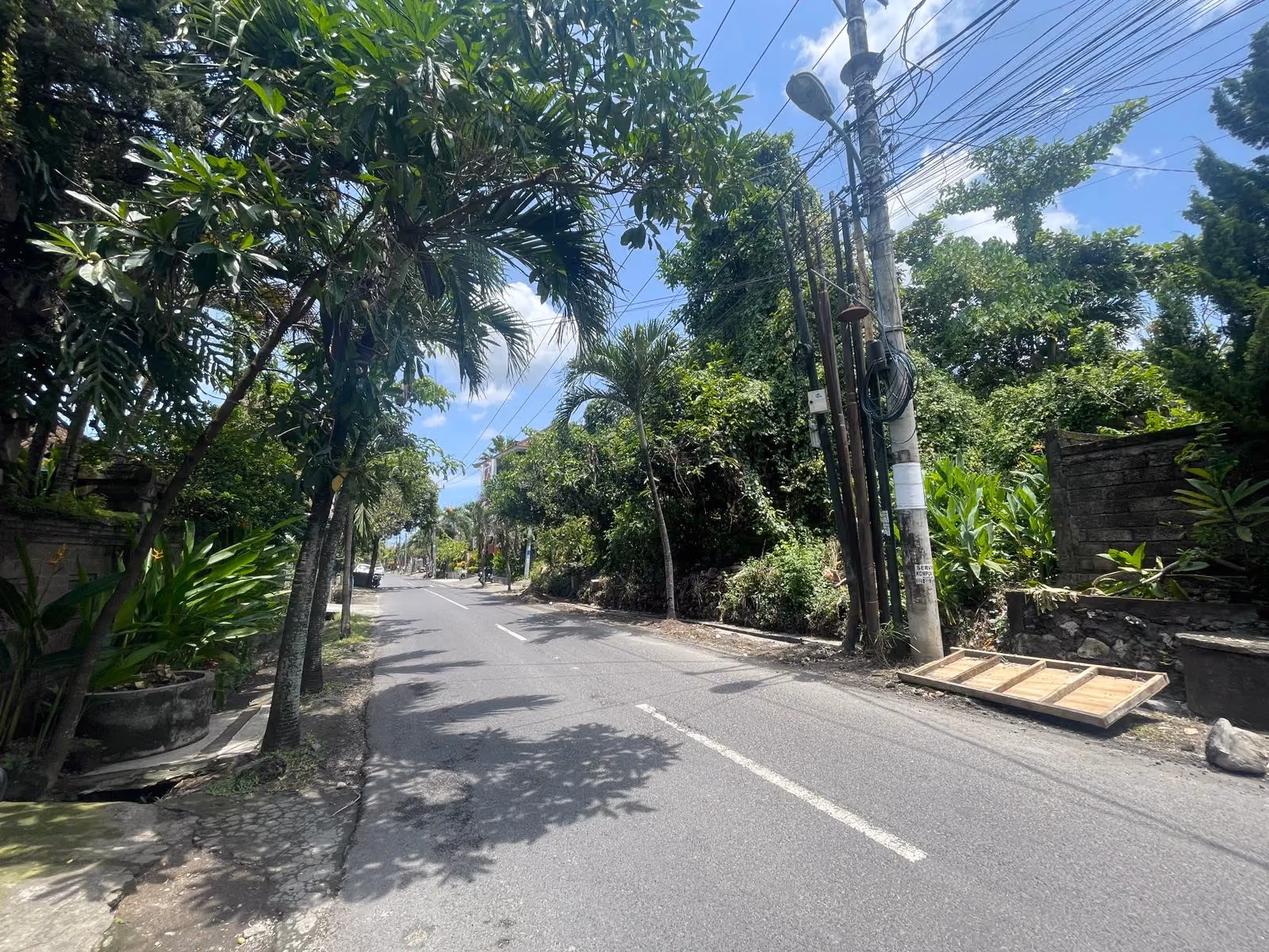 Canggu Land Offering: A Freehold Gem For Residential Development — photo 1