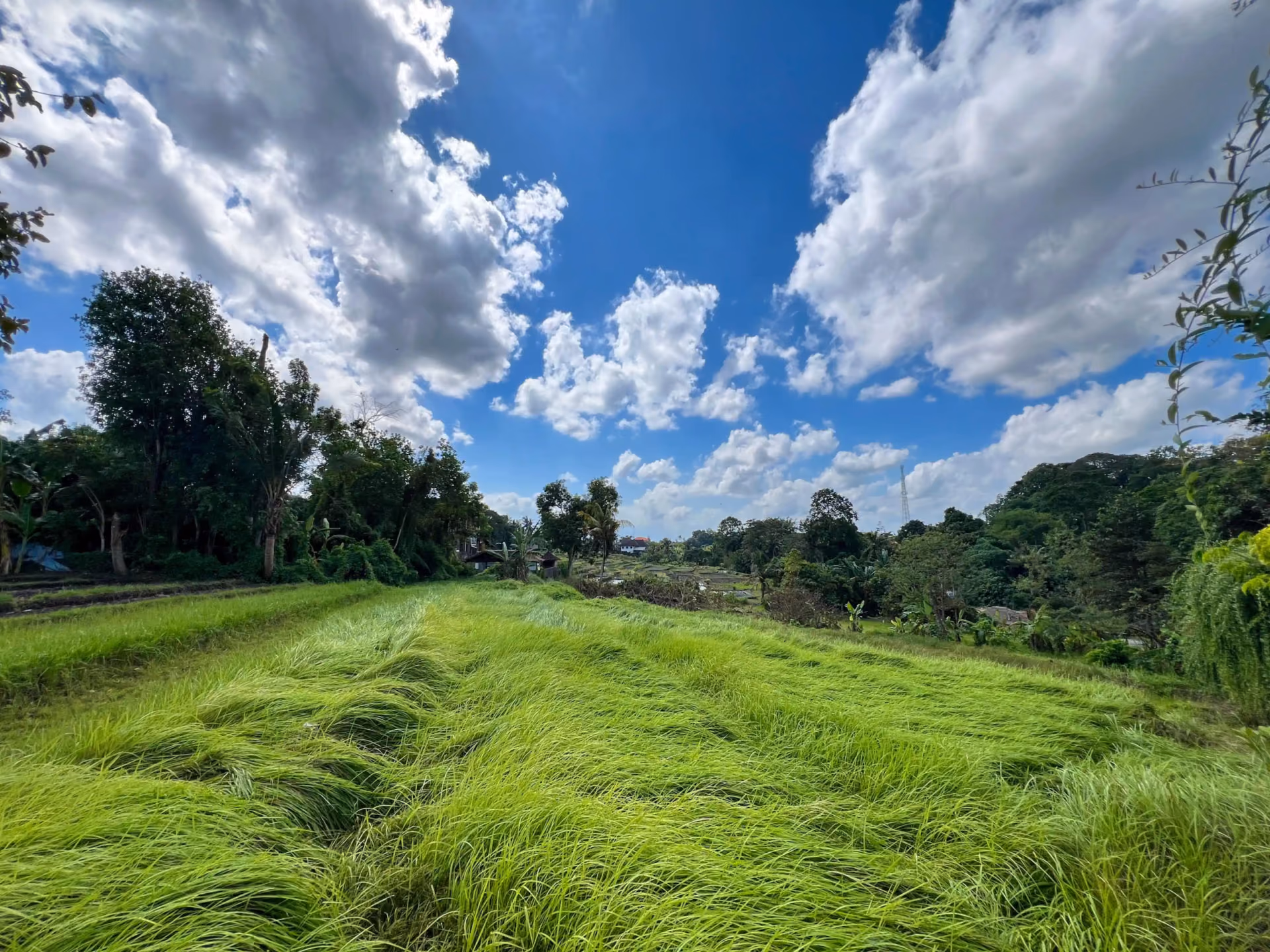 Freehold Land In Nyanyi, Perfect For Your Dream Villa — photo 1