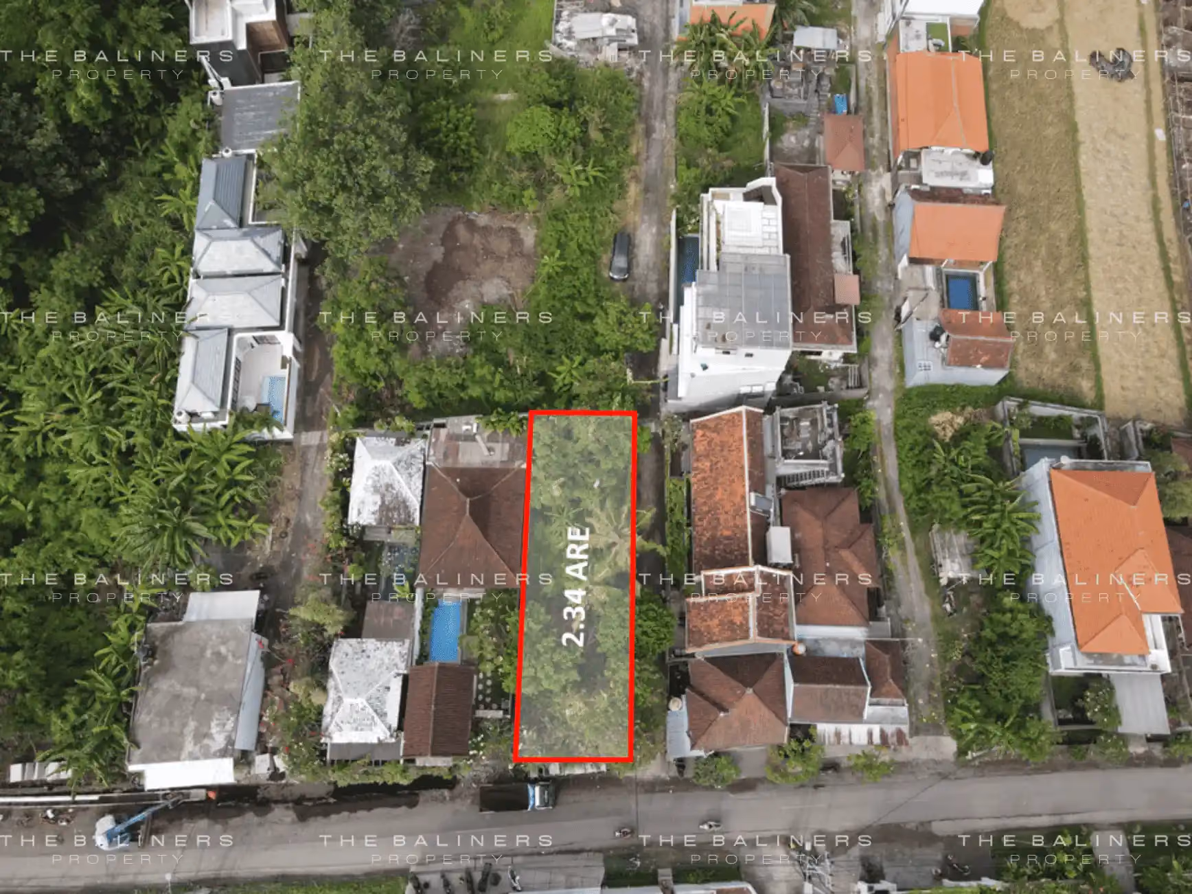 Prime Freehold Land In Canggu With Main Road Access — photo 1