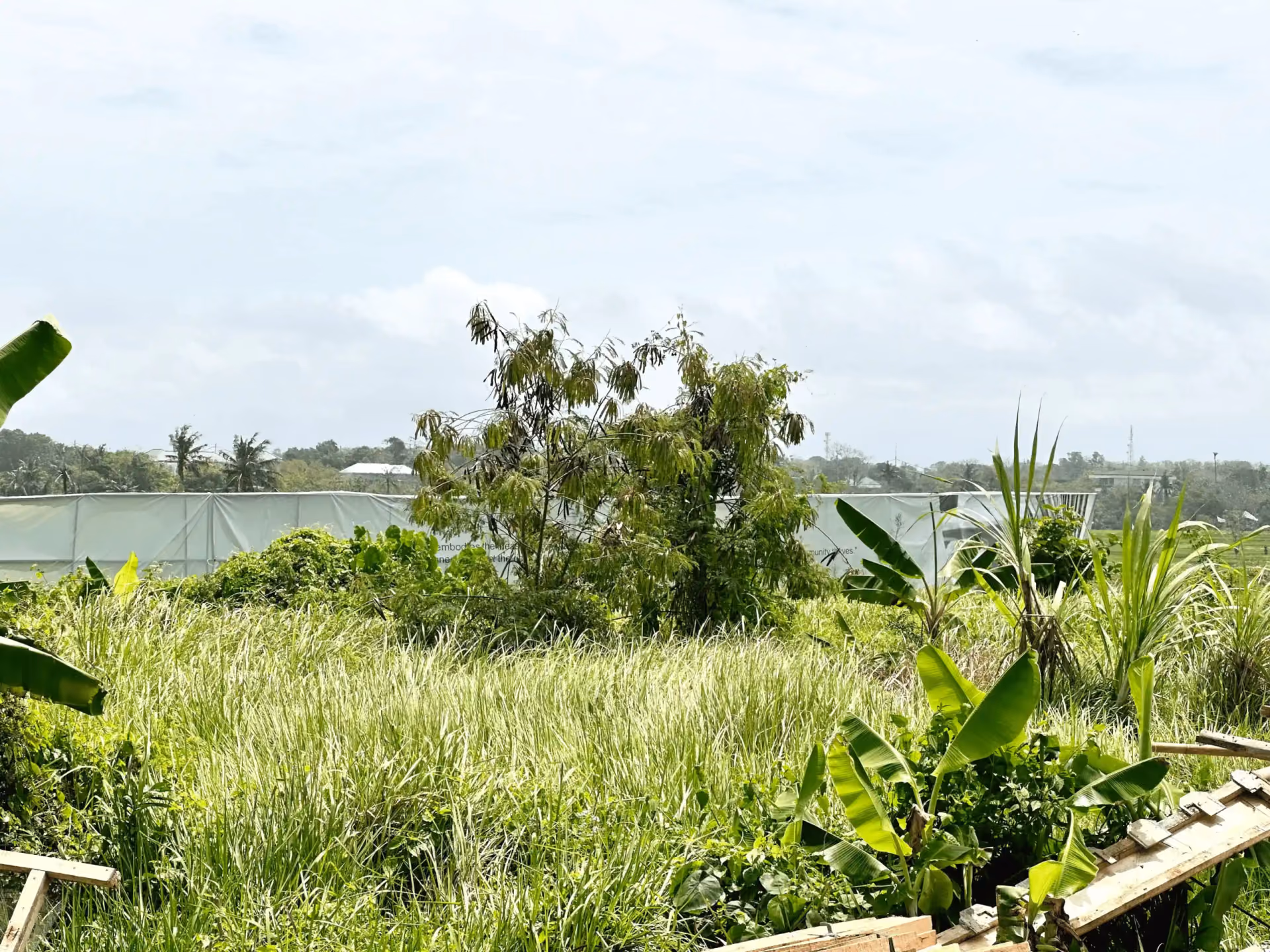 Spacious Land Opportunity In Cemagi, Mengwi — photo 1