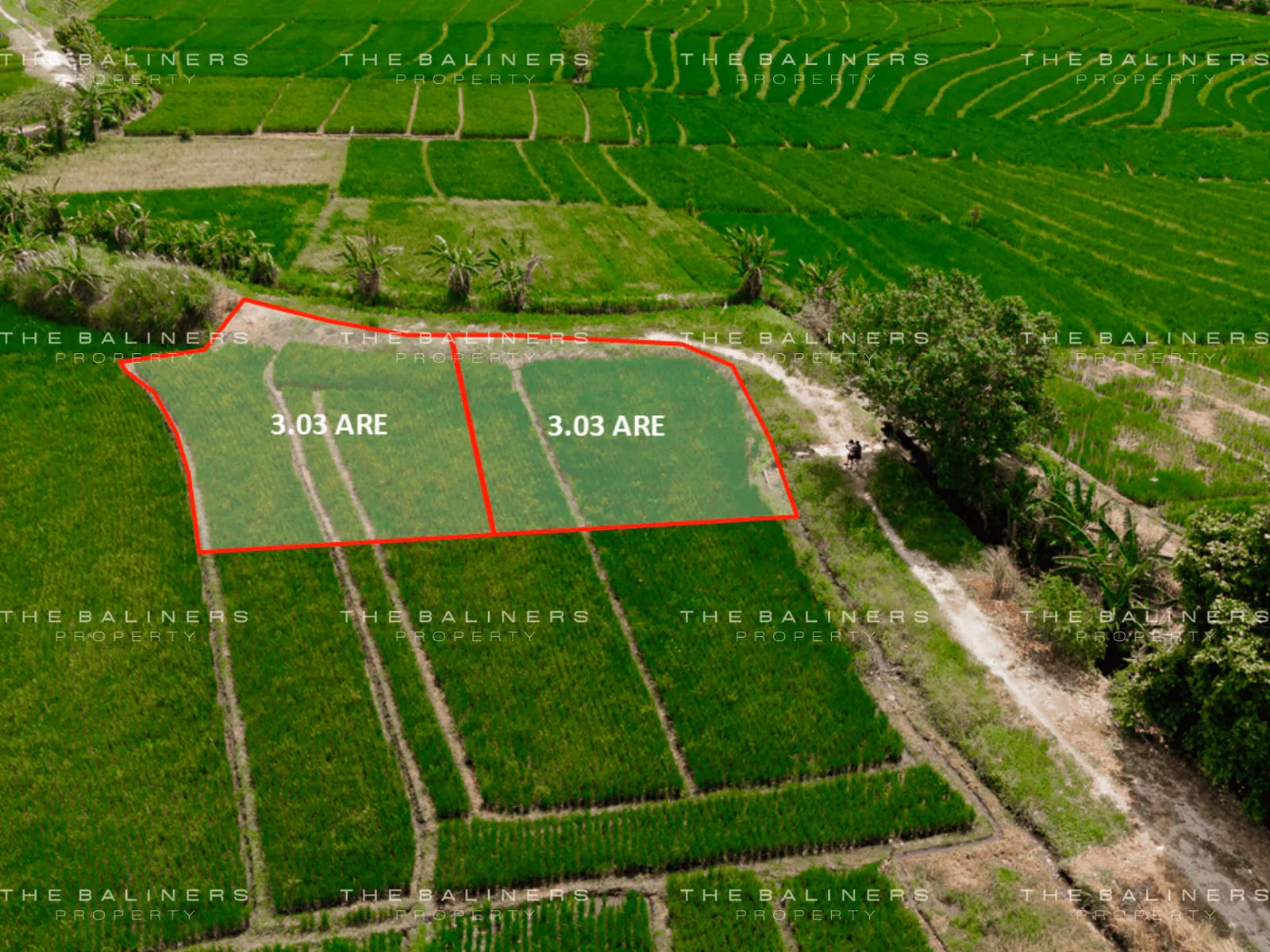Prime Freehold Land In Kerambitan With High Investment Potential — photo 1