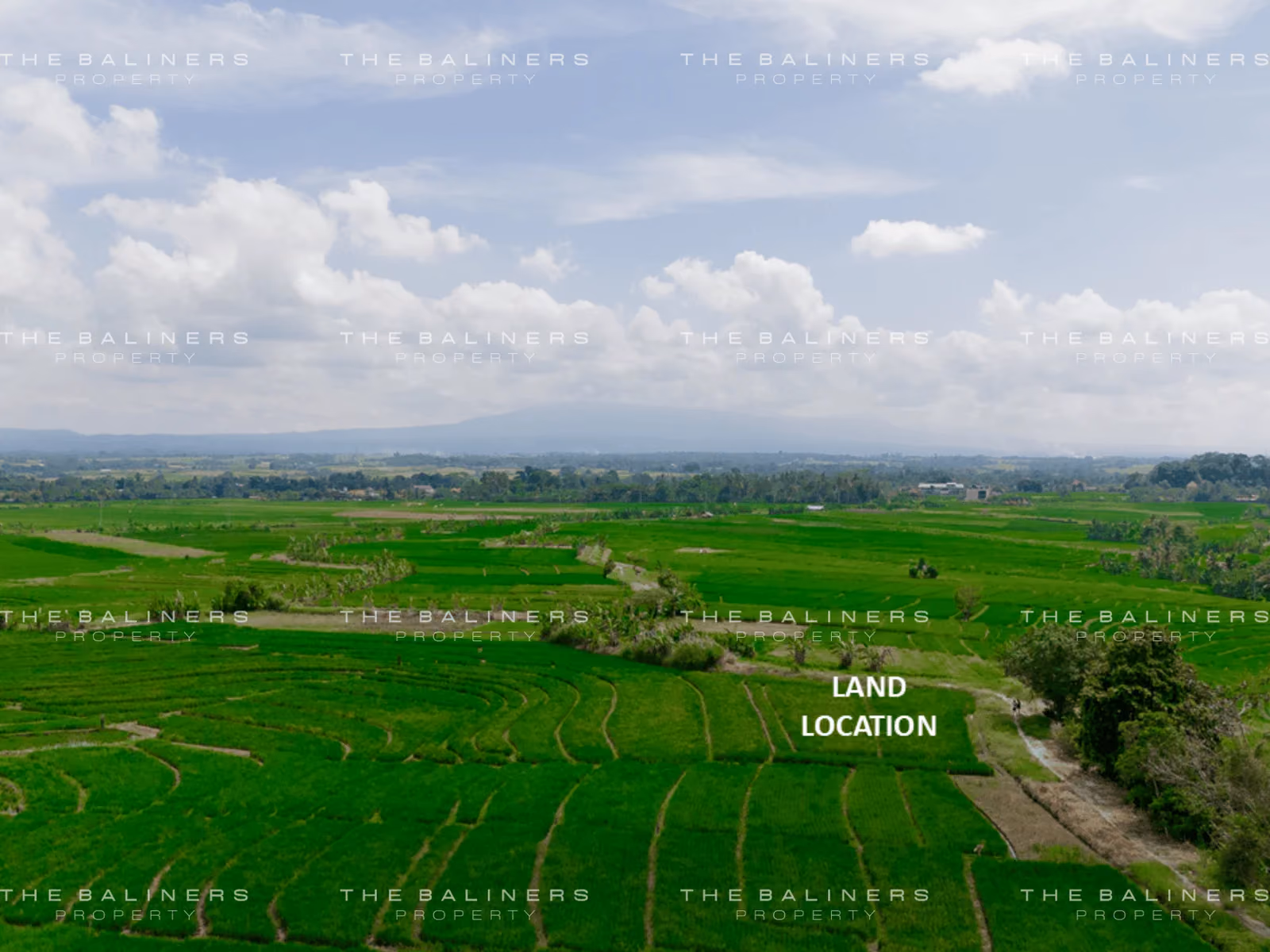 Serene Investment Opportunity In The Heart Of Kerambitan'S Natural Beauty — photo 1