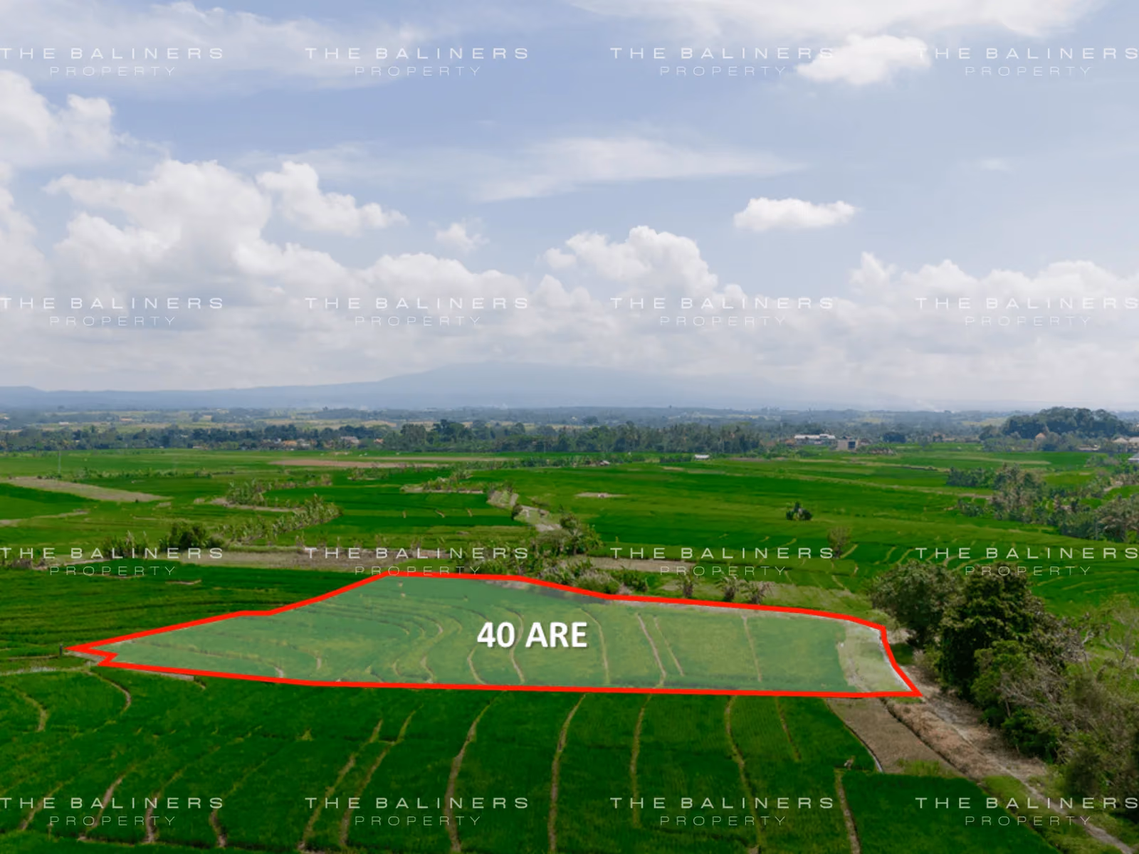 Rare Investment Opportunity In Bali’S Green Belt – 40 Are Freehold Land — photo 1