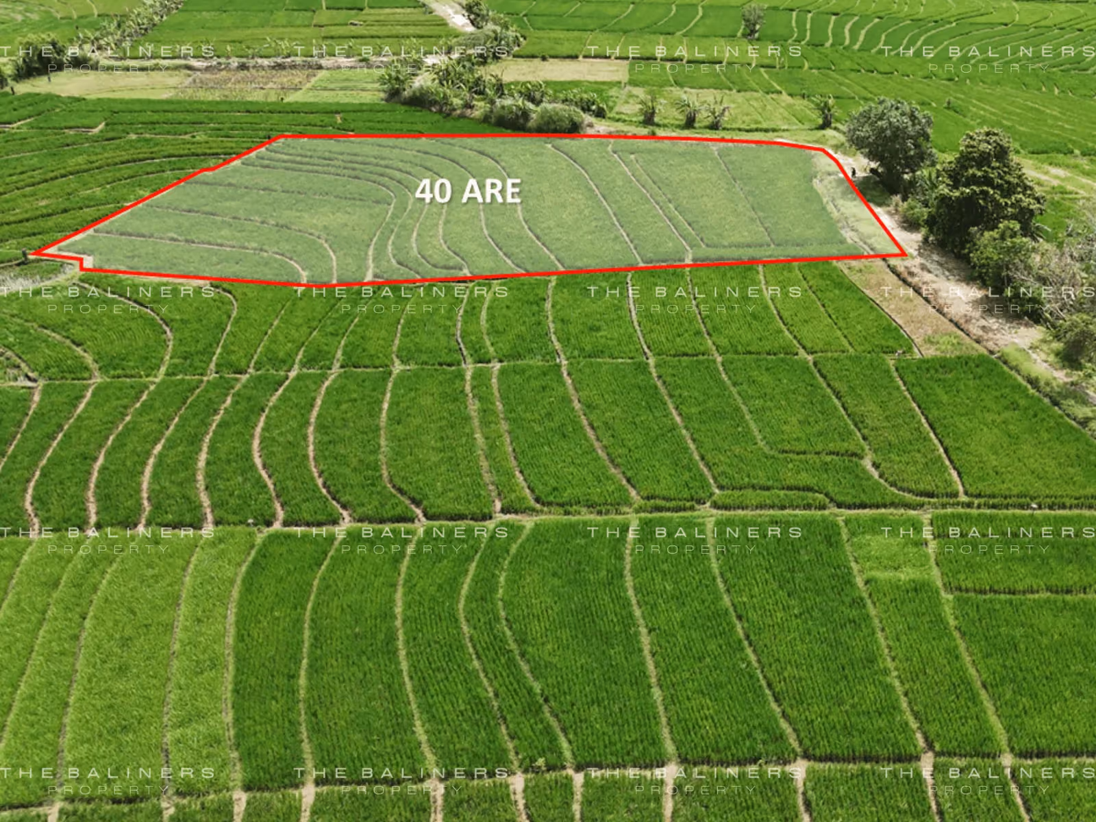 Quiet And Scenic Land Plot In Tabanan With Tourism Potential — photo 1