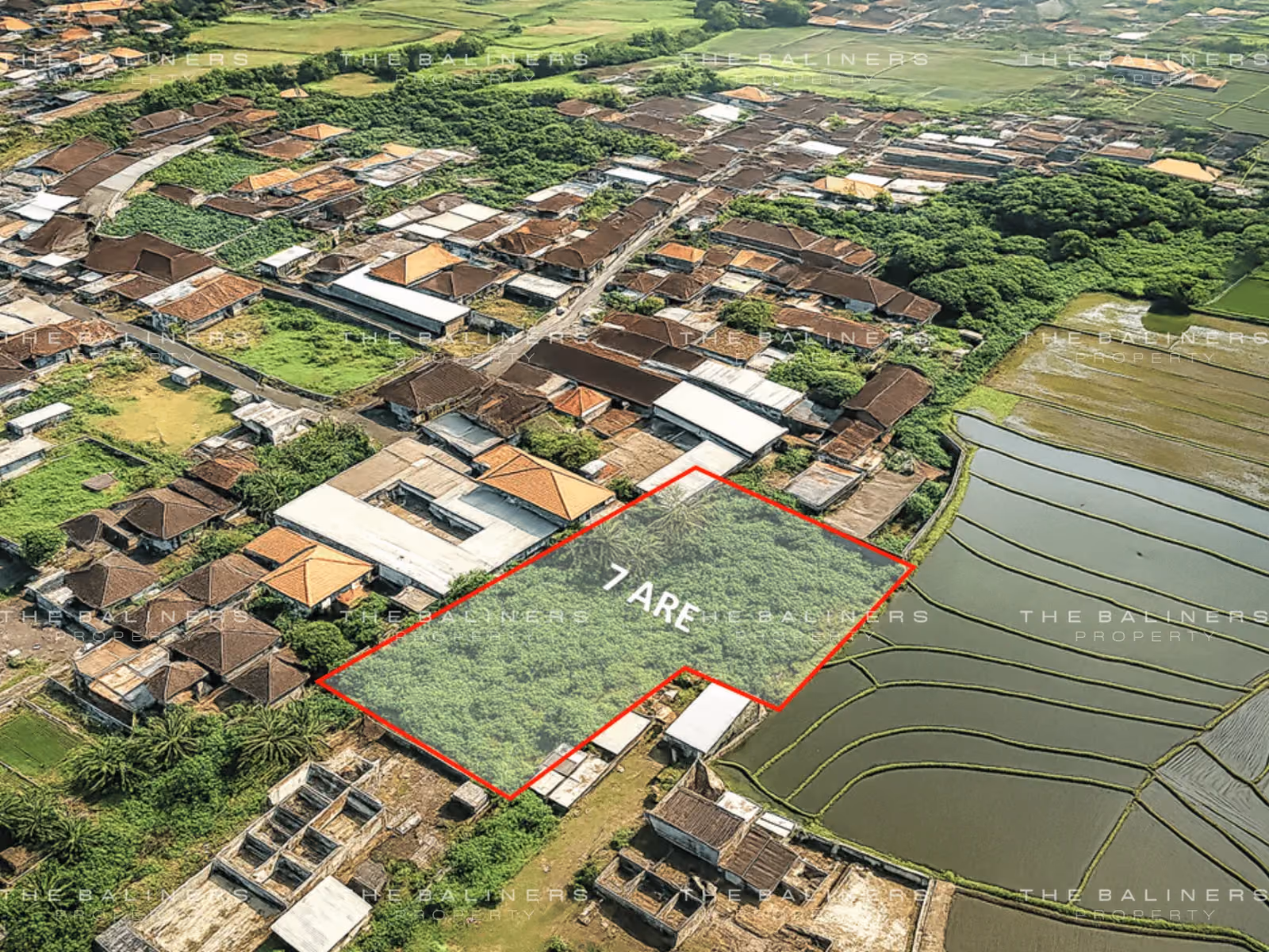 Serene Rice Field View Land In Buduk With Development Potential — photo 1