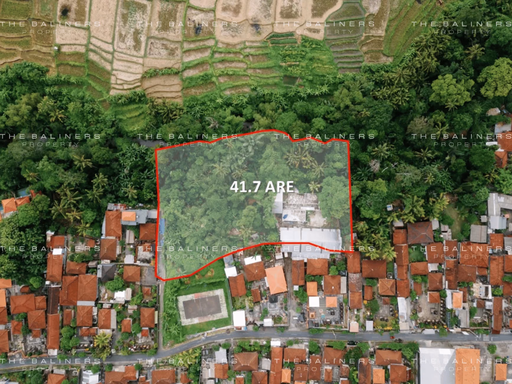 A Rare Riverside Haven In The Heart Of Ubud’S Natural Beauty — photo 1