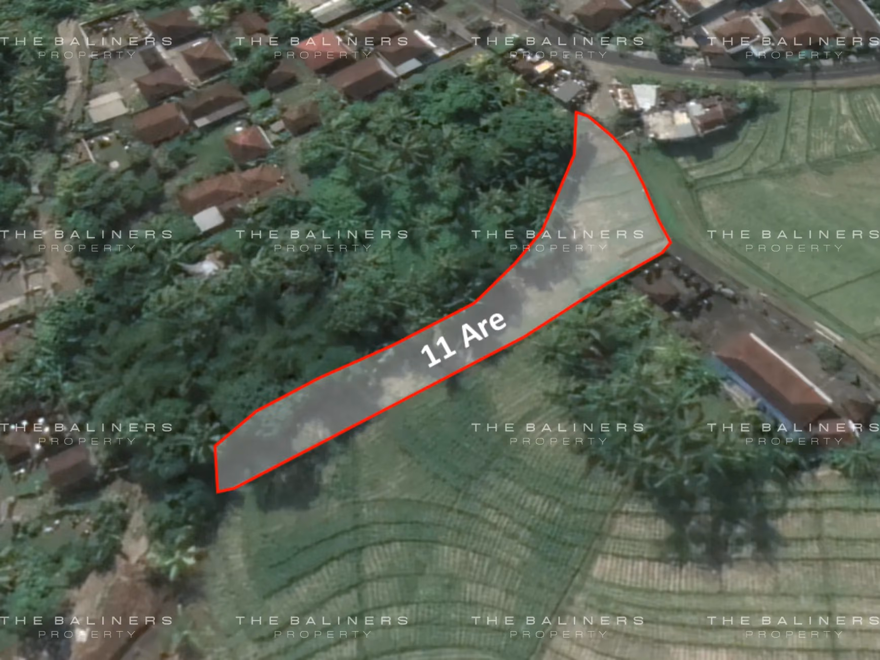 Expansive Freehold Land With Serene Rice Field And Mountain Views In Tabanan — photo 1