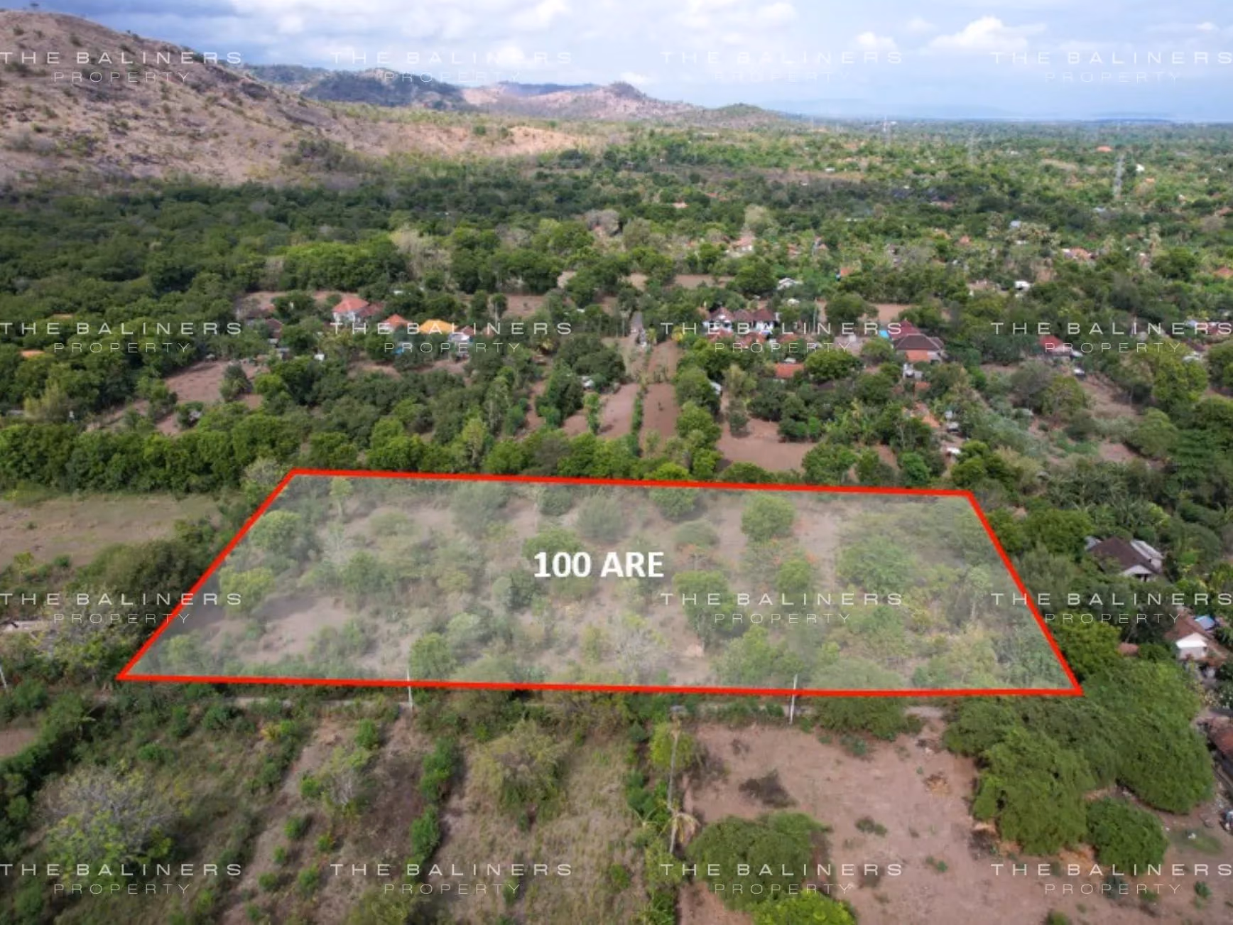 Vast Freehold Agricultural Land Surrounded By Nature In Pemuteran Buleleng — photo 1