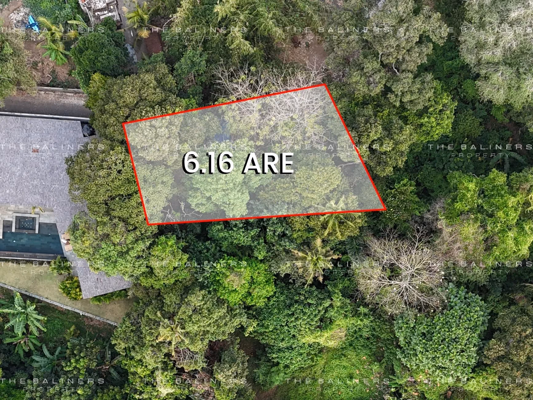 Scenic Leasehold Land With Jungle And Riverside View In Buwit — photo 1