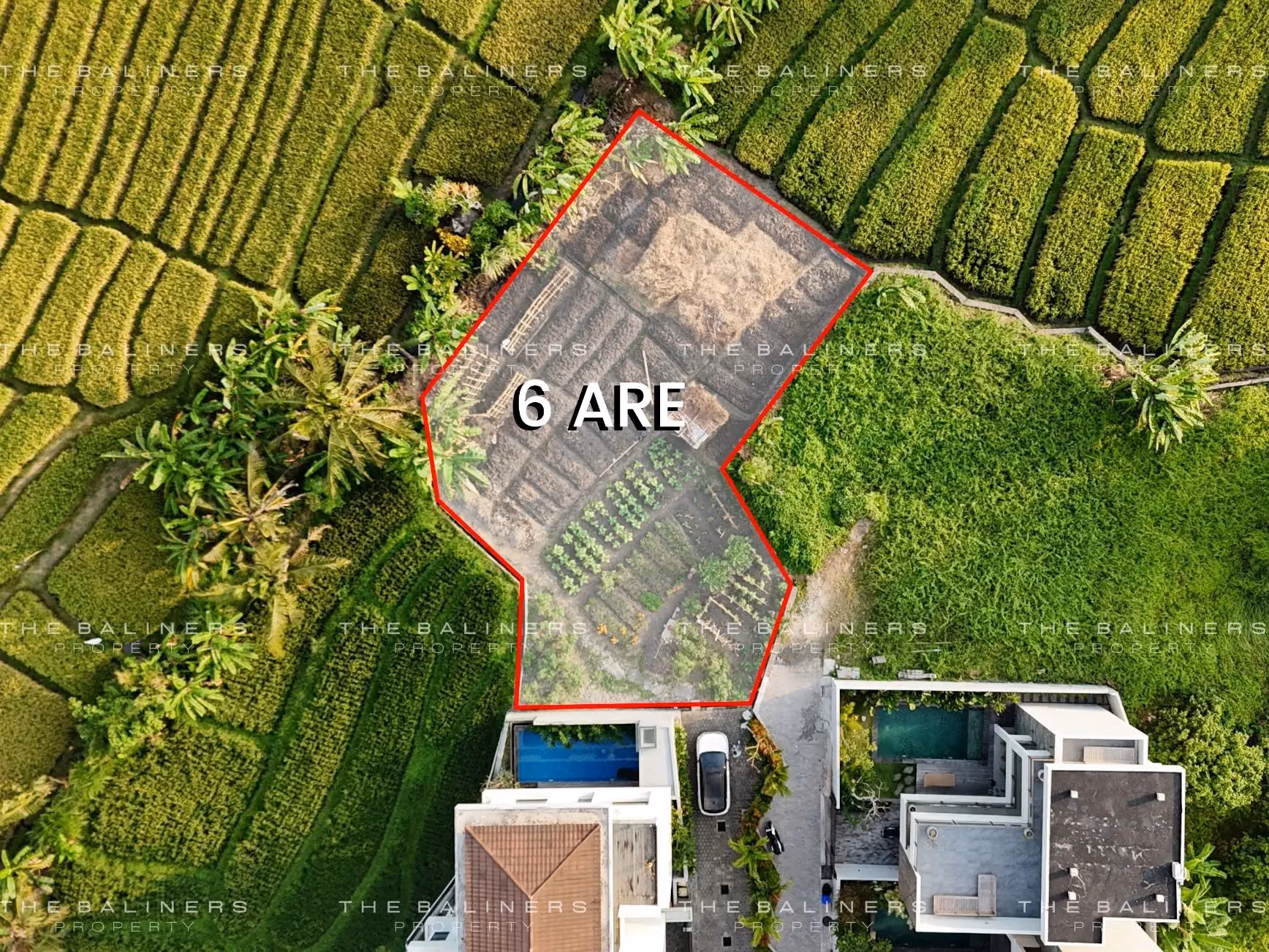 Beachside Land In Cemagi With Serene Ricefield Surroundings — photo 1