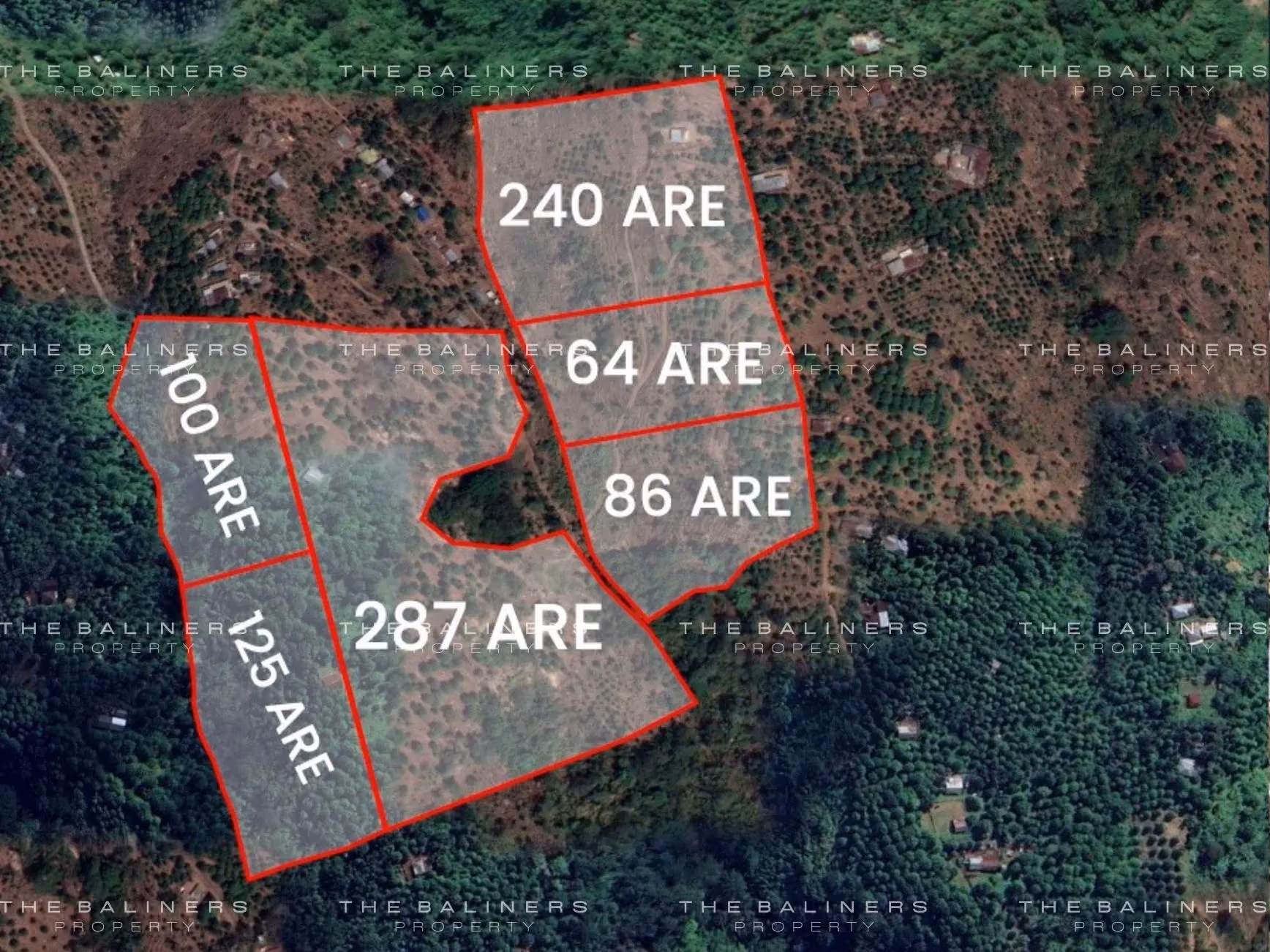 9 Hectares Of North Bali Land With Ocean Views And Natural Springs — photo 1