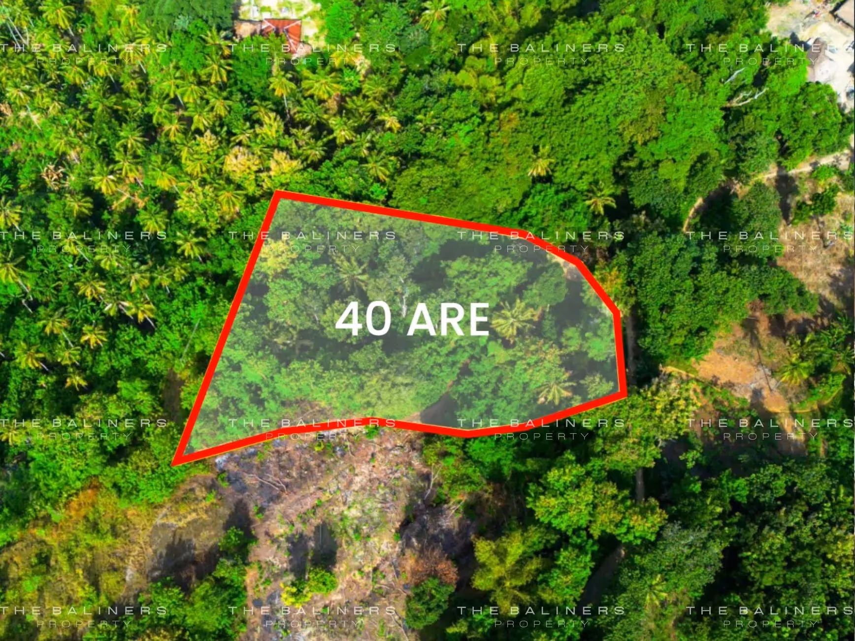 A West Sumba Coastal Plot Surrounded By Hills And Open Sea Views — photo 1